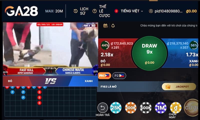 Tỷ lệ cược chọi gà tại 8Day 